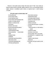 Referāts 'Imigrācijas likumdošana', 20.