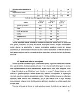 Referāts 'Imigrācijas likumdošana', 23.