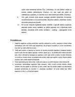 Referāts 'Imigrācijas likumdošana', 26.