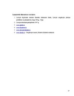 Referāts 'Imigrācijas likumdošana', 27.