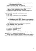 Referāts 'Brīvās ekonomiskās zonas Latvijā', 13.