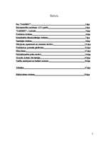 Referāts '"Sakret" - sausie celtniecības maisījumi', 2.