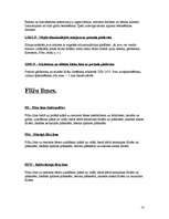 Referāts '"Sakret" - sausie celtniecības maisījumi', 13.