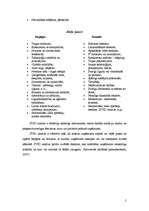 Referāts 'SIA "Bauer" mārketinga uzlabošanas iespējas', 4.