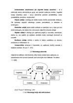 Referāts 'SIA "Bauer" mārketinga uzlabošanas iespējas', 6.