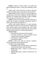 Referāts 'SIA "Bauer" mārketinga uzlabošanas iespējas', 7.