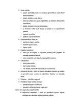 Referāts 'SIA "Bauer" mārketinga uzlabošanas iespējas', 11.