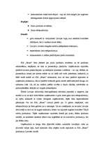 Referāts 'SIA "Bauer" mārketinga uzlabošanas iespējas', 15.