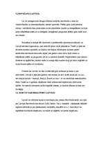 Referāts 'Snovbords', 3.