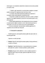 Referāts 'Snovbords', 5.