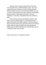 Referāts 'Snovbords', 7.