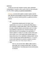 Referāts 'Snovbords', 8.