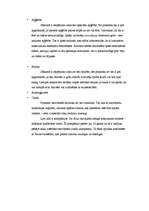 Referāts 'Snovbords', 9.