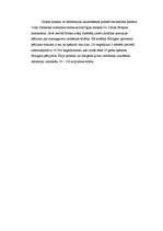 Referāts 'Snovbords', 15.