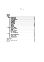 Referāts 'Smagās mūzikas popularizēšana 21.gadsimtā', 2.