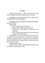 Referāts 'Smagās mūzikas popularizēšana 21.gadsimtā', 3.