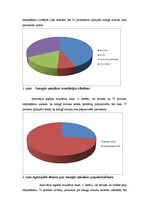 Referāts 'Smagās mūzikas popularizēšana 21.gadsimtā', 19.
