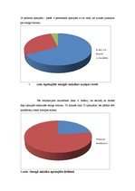Referāts 'Smagās mūzikas popularizēšana 21.gadsimtā', 20.