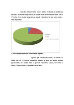 Referāts 'Smagās mūzikas popularizēšana 21.gadsimtā', 21.