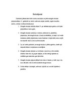 Referāts 'Smagās mūzikas popularizēšana 21.gadsimtā', 25.