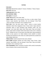 Referāts 'Epistolārā forma romānos', 2.