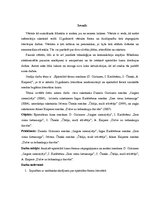 Referāts 'Epistolārā forma romānos', 8.