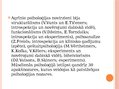 Prezentācija 'Psiholoģijas attīstības vēsture', 7.