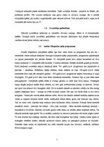 Referāts 'Vasaras Olimpiskās spēles un latviešu sportistu izcilākie sasniegumi', 5.