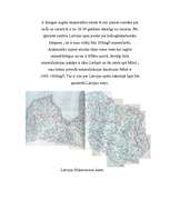 Referāts 'Latvijas hidroresursi', 14.