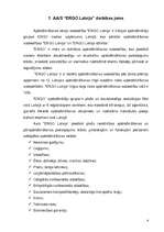 Referāts 'AAS "Ergo Latvija" uzņēmējdarbības plānošana', 4.