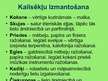Prezentācija 'Kailsēkļi', 22.