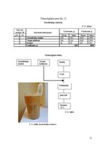 Referāts 'Ēdināšanas uzņēmuma tehnoloģiskā procesa norises dokumentu izstrāde', 27.