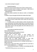 Referāts 'Budžets, tā plānošana un nozīme uzņēmējdarbībā', 9.