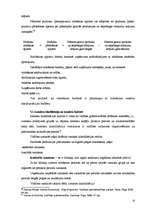 Referāts 'Budžets, tā plānošana un nozīme uzņēmējdarbībā', 13.