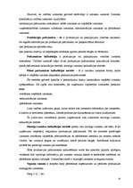 Referāts 'Budžets, tā plānošana un nozīme uzņēmējdarbībā', 18.