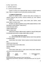 Referāts 'Budžets, tā plānošana un nozīme uzņēmējdarbībā', 19.