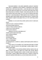 Referāts 'Budžets, tā plānošana un nozīme uzņēmējdarbībā', 20.