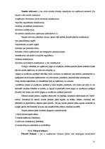 Referāts 'Budžets, tā plānošana un nozīme uzņēmējdarbībā', 21.