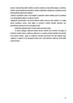 Referāts 'Budžets, tā plānošana un nozīme uzņēmējdarbībā', 23.