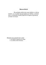 Konspekts 'Literatūras žanri', 5.