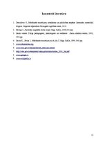 Referāts 'Mācīšanās traucējumi logopēdiskās korekcijas aspektā', 13.