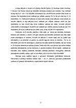 Referāts 'Bibliotekāra loma mūsdienu bibliotēku attīstībā', 21.