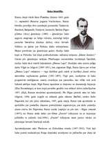 Referāts 'Rainis', 2.