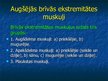 Prezentācija 'Ekstremitāšu muskuļi', 9.