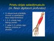 Prezentācija 'Ekstremitāšu muskuļi', 23.
