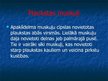 Prezentācija 'Ekstremitāšu muskuļi', 36.