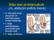 Prezentācija 'Ekstremitāšu muskuļi', 37.