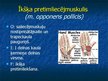 Prezentācija 'Ekstremitāšu muskuļi', 40.