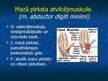 Prezentācija 'Ekstremitāšu muskuļi', 44.