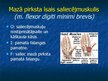 Prezentācija 'Ekstremitāšu muskuļi', 45.